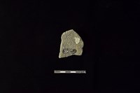 陶片藏品圖，第2張